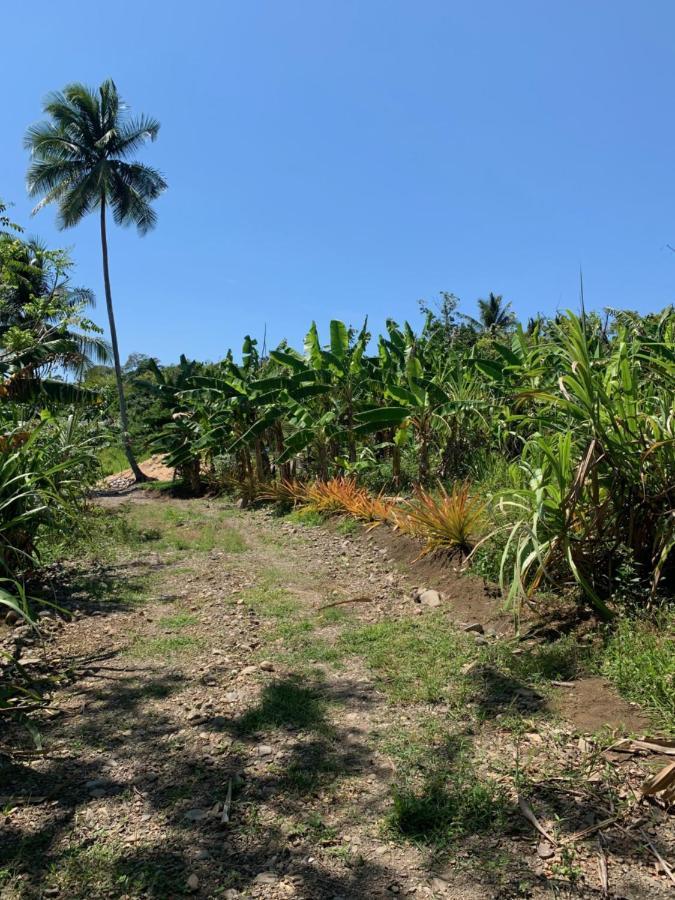 Green Queendom Farm And Lodging Oracabessa Exterior foto